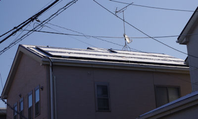 taiyo-240210-2.jpg